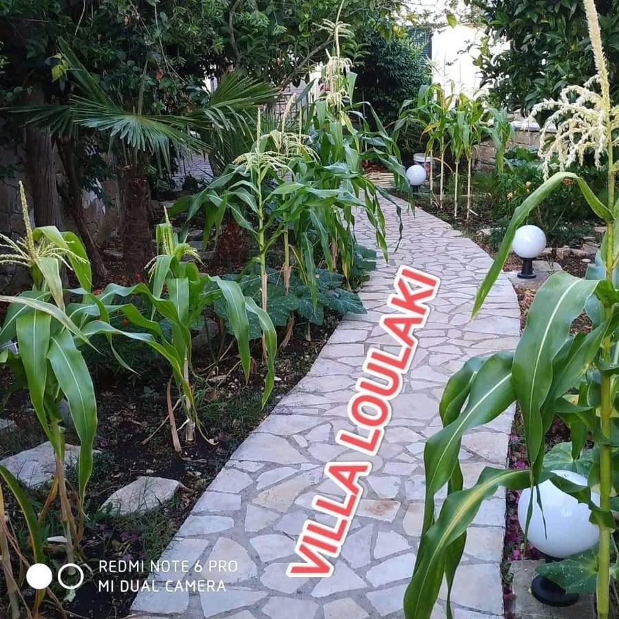 Villa Loulaki Magazia Paxi Arvanitakeika Ngoại thất bức ảnh