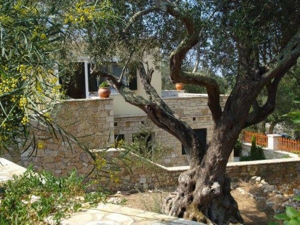 Villa Loulaki Magazia Paxi Arvanitakeika Ngoại thất bức ảnh