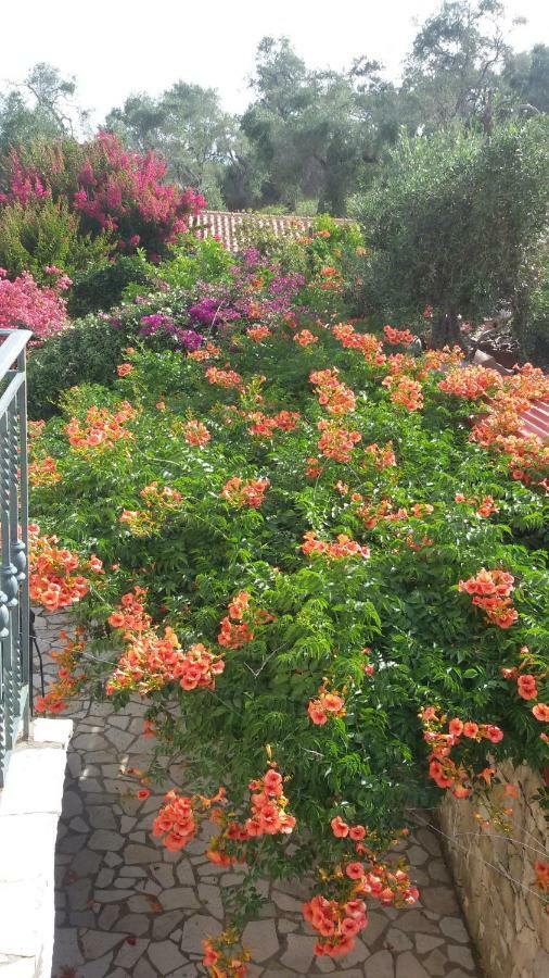 Villa Loulaki Magazia Paxi Arvanitakeika Ngoại thất bức ảnh